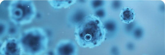 Microscopic Image of Viruses